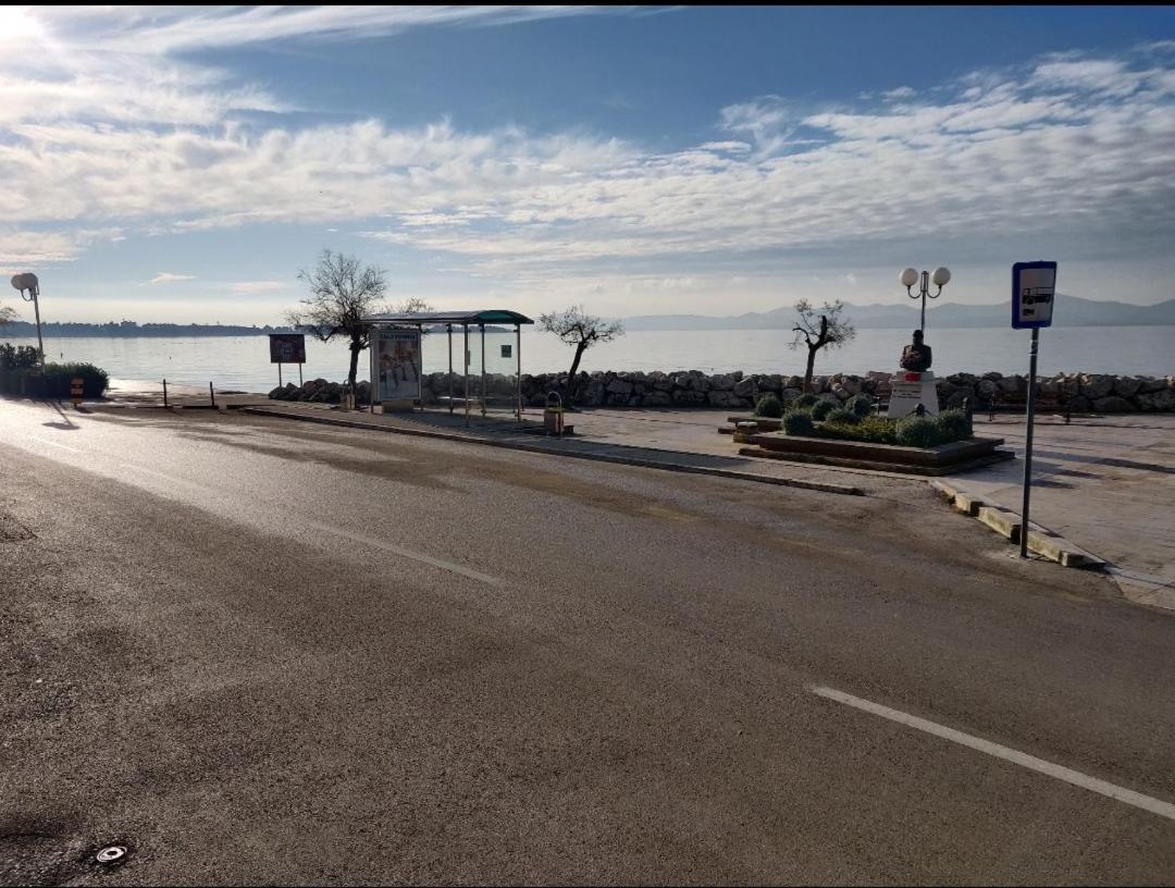 Apartment Milin By The Sea-Zadar-Diklo Dış mekan fotoğraf